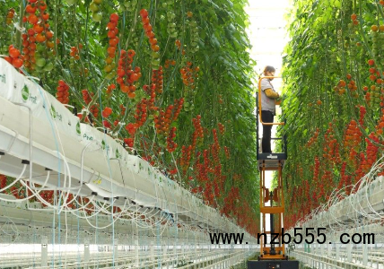 微信截圖_20210315195525