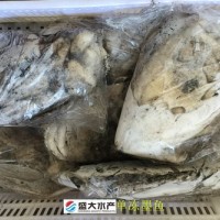 單凍墨魚/花枝/烏賊，干凍沒有泡水，產(chǎn)自福建東山島