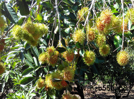 微信截圖_20210421193050