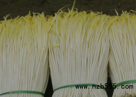 微信截圖_20210421193352