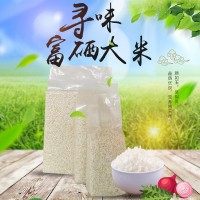 2020年新米富硒大米1斤真空米磚團(tuán)購會銷禮品加厚真空袋裝