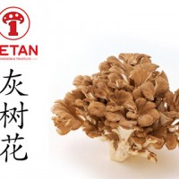 DETAN德添舞茸 新鮮灰樹(shù)花 購(gòu)買(mǎi)請(qǐng)電話聯(lián)系，否則不發(fā)貨