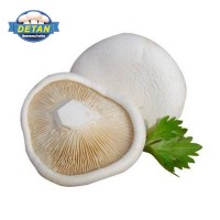 DETAN德添新鮮白靈菇 新鮮 購(gòu)買(mǎi)請(qǐng)電話聯(lián)系，否則不發(fā)貨