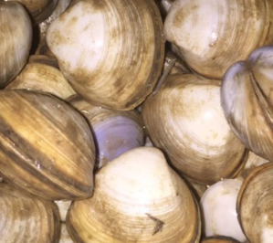 微信截圖_20210615114305