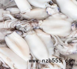 微信截圖_20210615114725