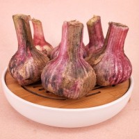 山東大蒜一件代發(fā) 干蒜，大干蒜 專業(yè)倉(cāng)儲(chǔ) ERP對(duì)接 5斤裝