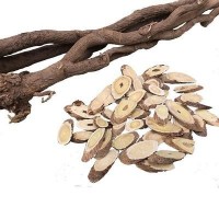 野生黃芪甘肅岷縣無硫整條野生黃芪土特產正北芪可切片中藥材批發(fā)