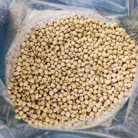 少皮榛子仁 土耳其榛子仁每日?qǐng)?jiān)果原料脫皮原味榛子散裝整箱批發(fā)