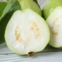 廣西白心芭樂 現摘現發(fā) 白心番石榴 香甜爽口熱帶水果 一件代發(fā)