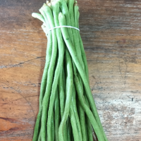 日銷30000斤豆角，求量大貨