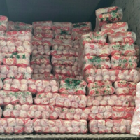 日銷40000斤娃娃菜，求貨源