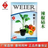 辣椒砧木種子 藤野 辣椒嫁接砧木1000粒 耐死棵 根腐 重茬 線蟲