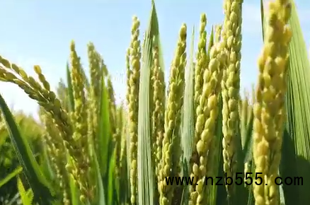 微信截圖_20210910155555