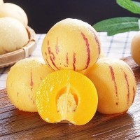 現(xiàn)摘現(xiàn)發(fā)云南石林人參果應(yīng)季新鮮水果樹(shù)上熟5斤黃肉多汁整箱批發(fā)