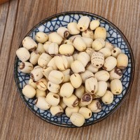 產地貨源 磨皮白蓮 去心無芯泰國白蓮子干貨 散裝湘蓮廠家批發(fā)