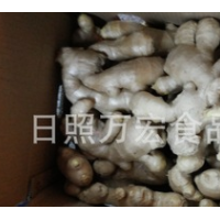 生產(chǎn)工廠供應(yīng)出口生姜，風(fēng)干姜，保鮮姜。