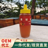 農場供應養(yǎng)殖蜂蜜 500g棗花蜜瓶裝 蜂蜜廠家供應現貨代發(fā)