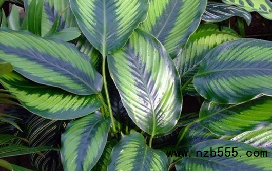 微信截圖_20220401172829