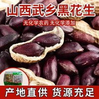 批發(fā)武鄉(xiāng)黑花生帶殼熟花生農產品花生歡迎選購