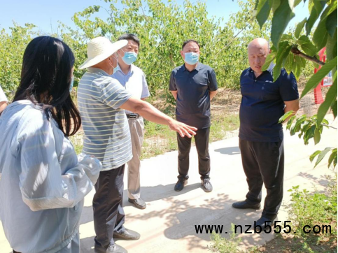 河北：寧晉縣組織開展農(nóng)業(yè)技術(shù)培訓會