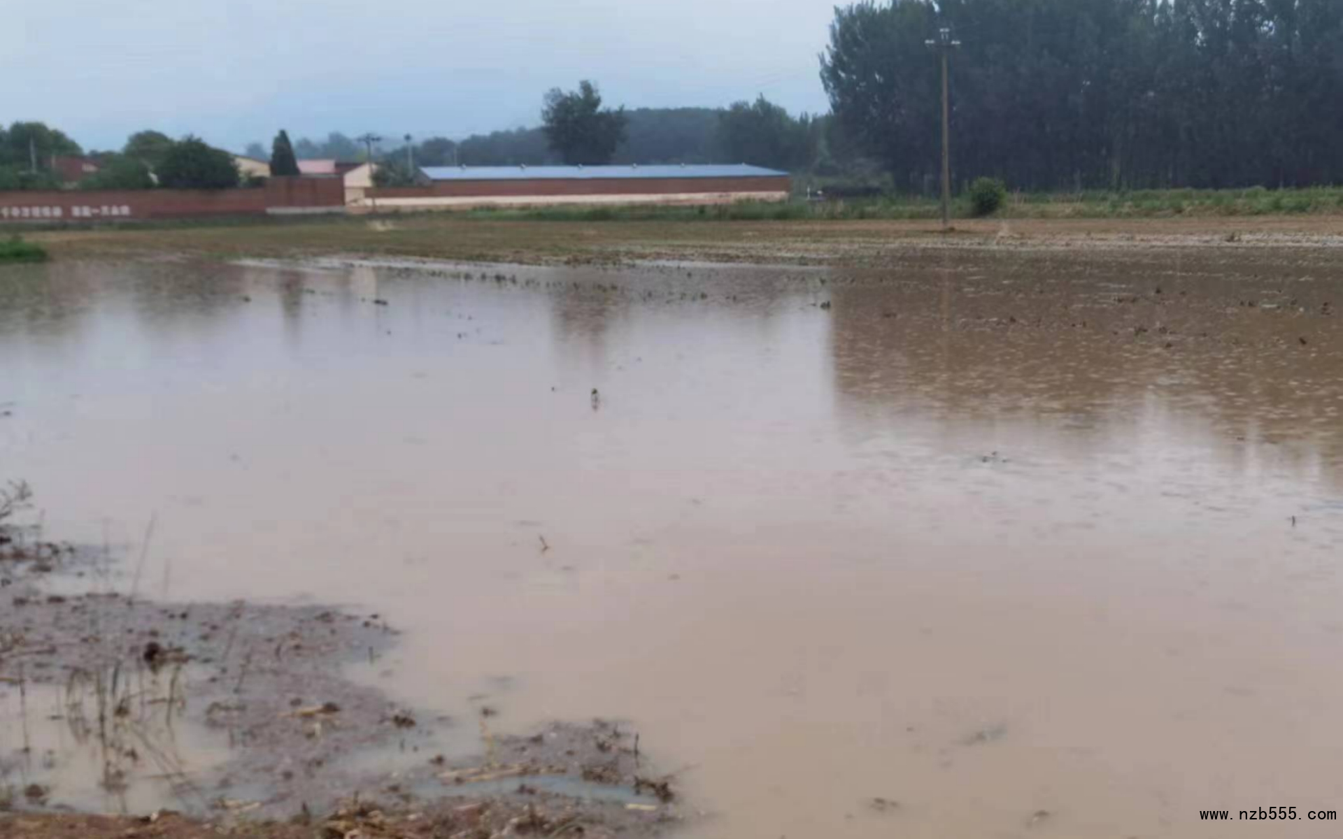 密云河南寨大豆種植地塊積水嚴重。北京市農業(yè)技術推廣站供圖