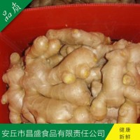 出口歐美、加拿大、荷蘭、英國級保鮮姜、風(fēng)干姜（價格面議）