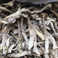 鹿茸菇鹿茸菌干貨原件土特產農副產品食用菌酒店食材批發(fā)產地直供