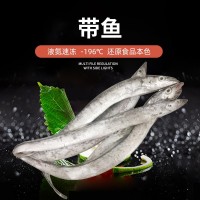 舟山東海雷達網小眼帶魚 大帶4兩-1斤套袋帶魚 批發(fā)海捕新鮮帶魚