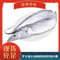 帶魚 海鮮 規(guī)格齊全 釣帶網帶 板凍條凍 新鮮現(xiàn)貨 可加工帶魚