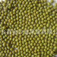 綠豆常年供應(yīng)，芽豆，商品豆，質(zhì)量保證 價格優(yōu)惠