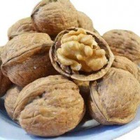 新貨上市，常年供應(yīng)核桃，質(zhì)量保證 價格優(yōu)惠