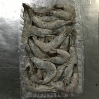 加工南美白對(duì)蝦，冷凍南美白對(duì)蝦，唐山南美白對(duì)蝦，天津南美蝦