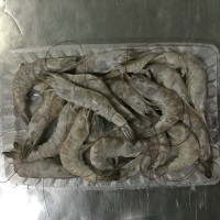 冷凍南美白對(duì)蝦，加工南美白對(duì)蝦，河北南美白對(duì)蝦，唐山南美對(duì)蝦