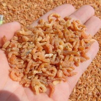 金鉤海米新鮮蝦米蝦仁水產(chǎn)海鮮海產(chǎn)干貨漁民自曬一件代發(fā)500g