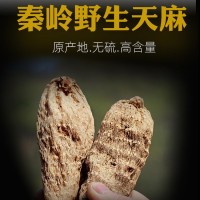 西北甘肅特產隴南干天麻農家自產批發(fā)零售500g包郵 2斤包郵