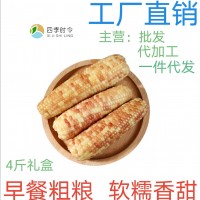 西雙版納香糯小玉米香甜軟糯 四季種植 真空即食玉米棒 廠家批發(fā)
