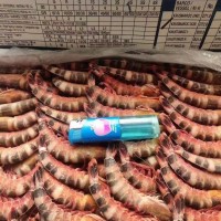 生凍貓虎蝦/斑節(jié)蝦，一盒4斤，一件6盒