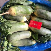 優(yōu)惠銷售水果青蘿卜，青皮青瓤及紫紅皮紫紅瓤蘿卜，甜脆可口