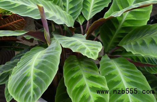 微信截圖_20221125114920