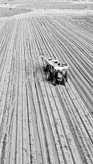 耕耘不輟， 闊步邁向農(nóng)業(yè)強國