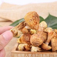 云南特產干貨姬松茸干巴菌批發(fā)代理量大從優(yōu)1000g起批