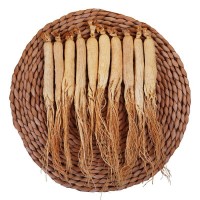 【禮盒干參】廠家批發(fā)東北特產 干人參禮盒裝 優(yōu)質整枝原皮參