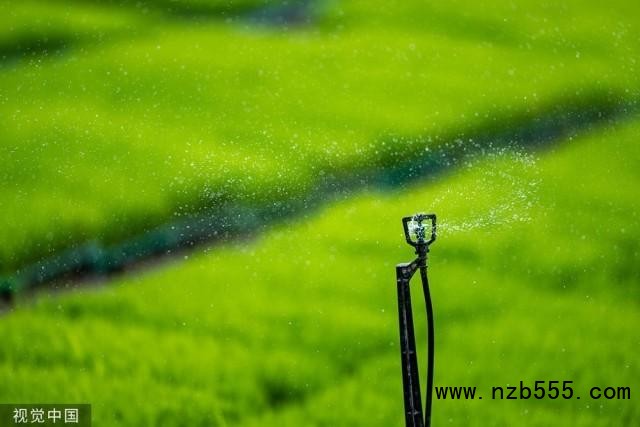 2023年5月27日，江蘇昆山，錦溪錦辰農(nóng)機(jī)專業(yè)合作社，智慧噴淋系統(tǒng)在旱地育秧田里進(jìn)行補(bǔ)水。人民視覺 資料圖
