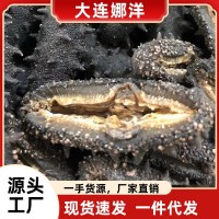 大連淡干海參50g水產海參干貨批發(fā)食用廠家一手野生遼參禮盒裝