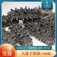 大連干海參 六排刺遼刺參 水產干貨 貨源穩(wěn)定供應 產地批發(fā)