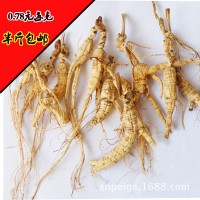 吉林長白山東北特產 人參 野山參 移山參 林下野山參殘支 批發(fā)