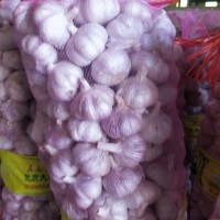 供應(yīng)金鄉(xiāng)太空蒜種，蒜子，紫皮蒜子，白皮蒜子