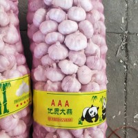 大蒜公司，源頭工廠供應(yīng)金鄉(xiāng)出口大蒜，超市大蒜