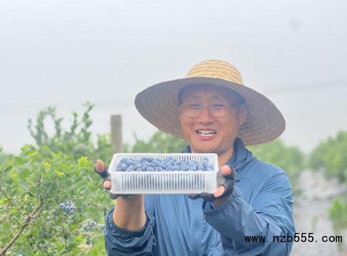 微信截圖_20250327174320