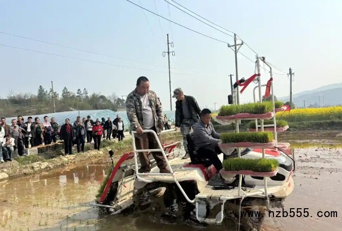 微信截圖_20250327174641